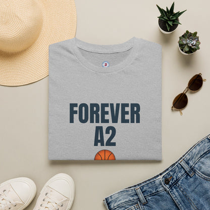 The Ann Arbor Hoops T