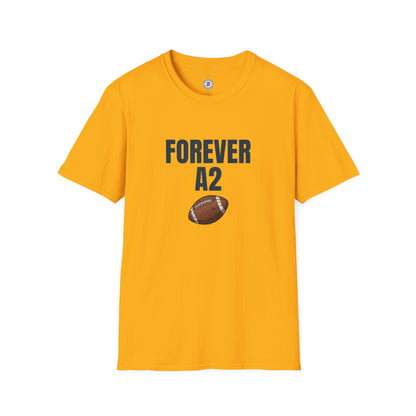 The Ann Arbor Smashmouth T