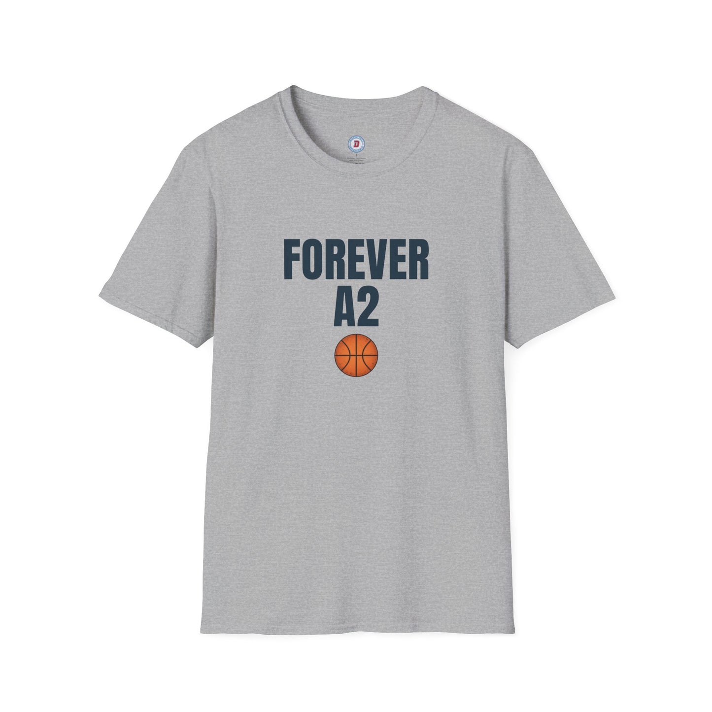 The Ann Arbor Hoops T
