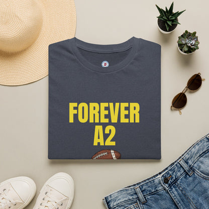 The Ann Arbor Smashmouth T