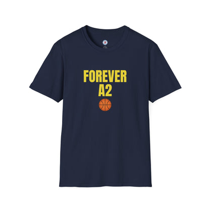 The Ann Arbor Hoops T