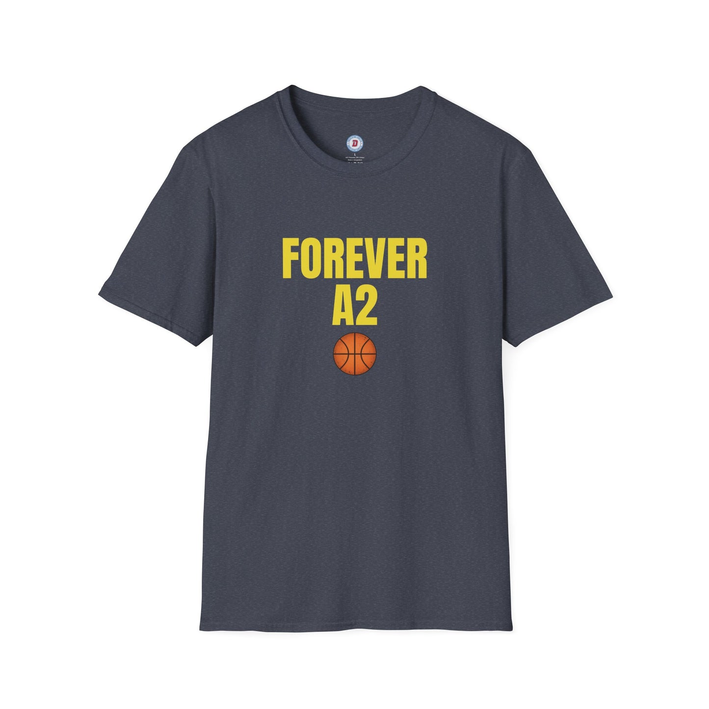 The Ann Arbor Hoops T