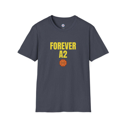 The Ann Arbor Hoops T
