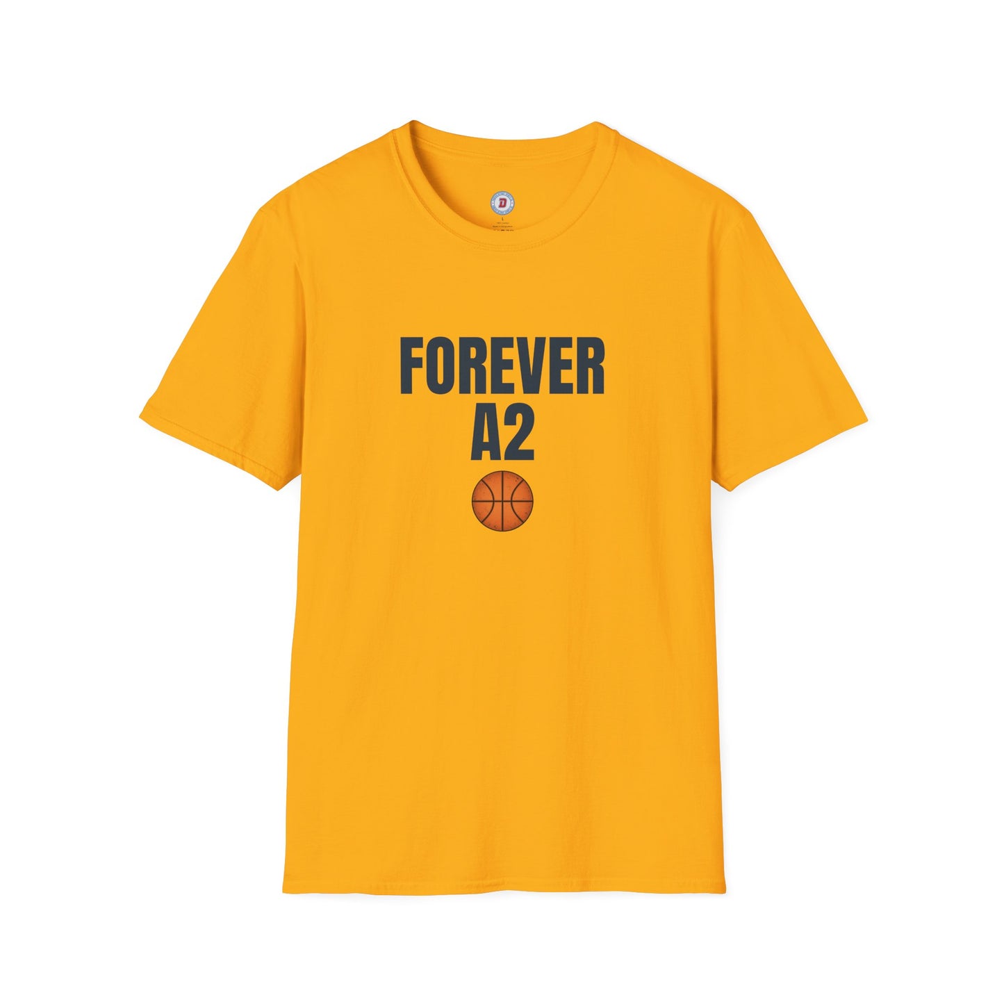 The Ann Arbor Hoops T
