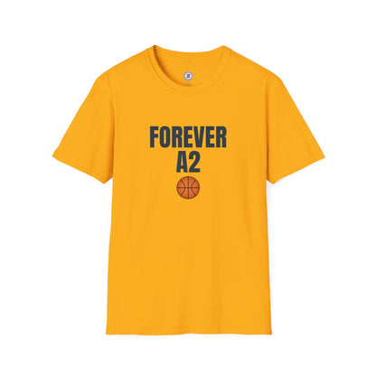 The Ann Arbor Hoops T