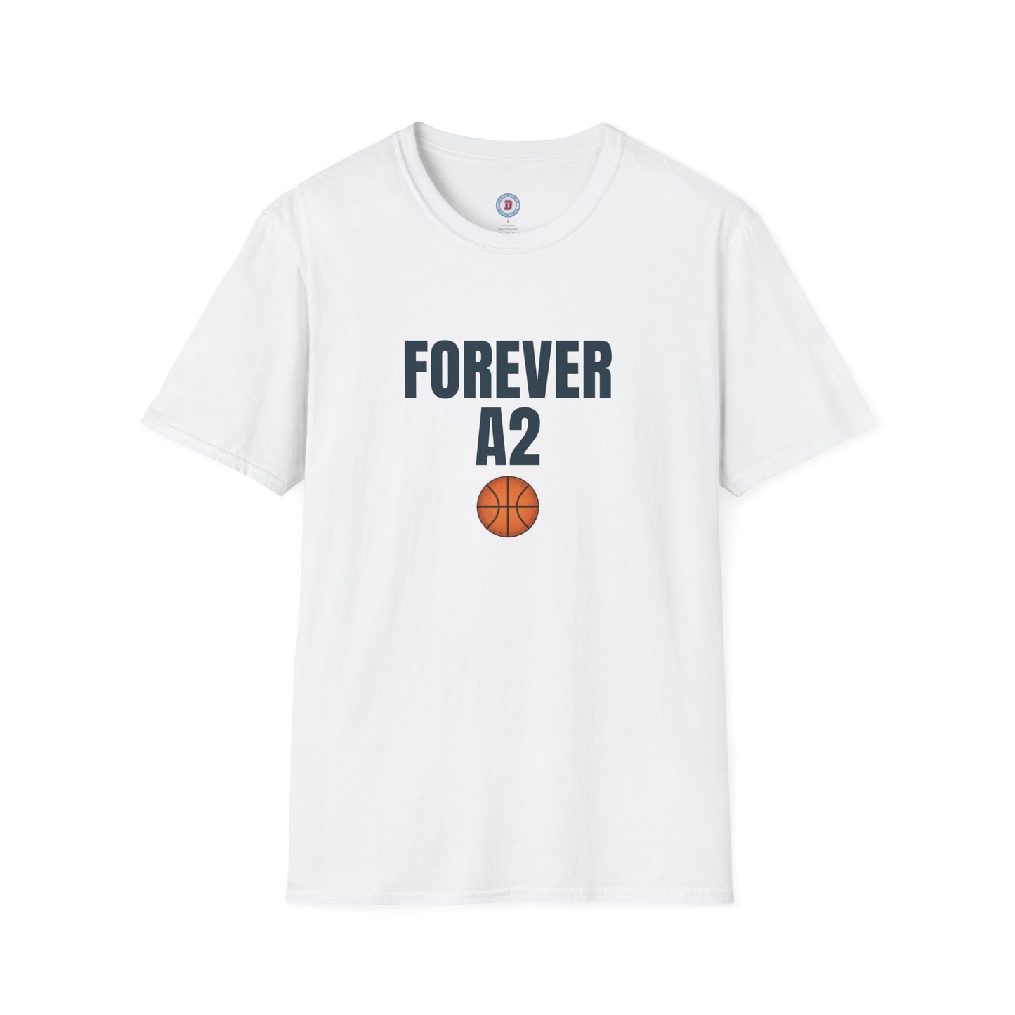 The Ann Arbor Hoops T