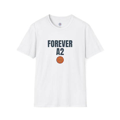 The Ann Arbor Hoops T